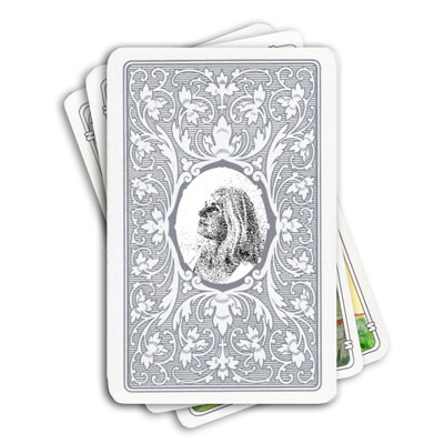 Kartenlegen mit Michelle